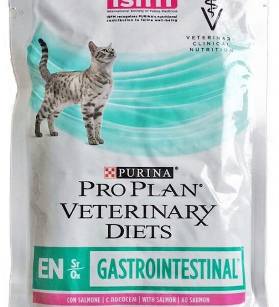 Purina Veterinary PVD EN Gastrointestinal Karma Dla Kota Z Łososiem 85g