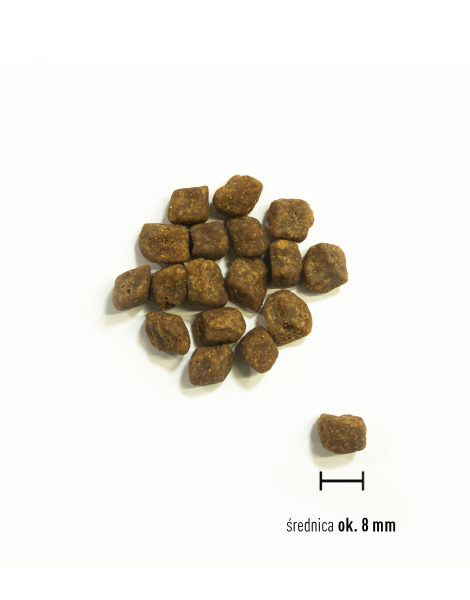 Orijen  small breed puppy 1,8 kg