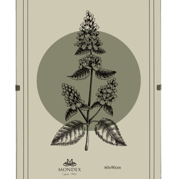 ADI Antyrama 60x90 cm Antyrama plexi