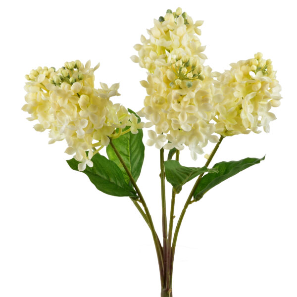 VIRIDIS Bukiet Bzu 40cm gumowany