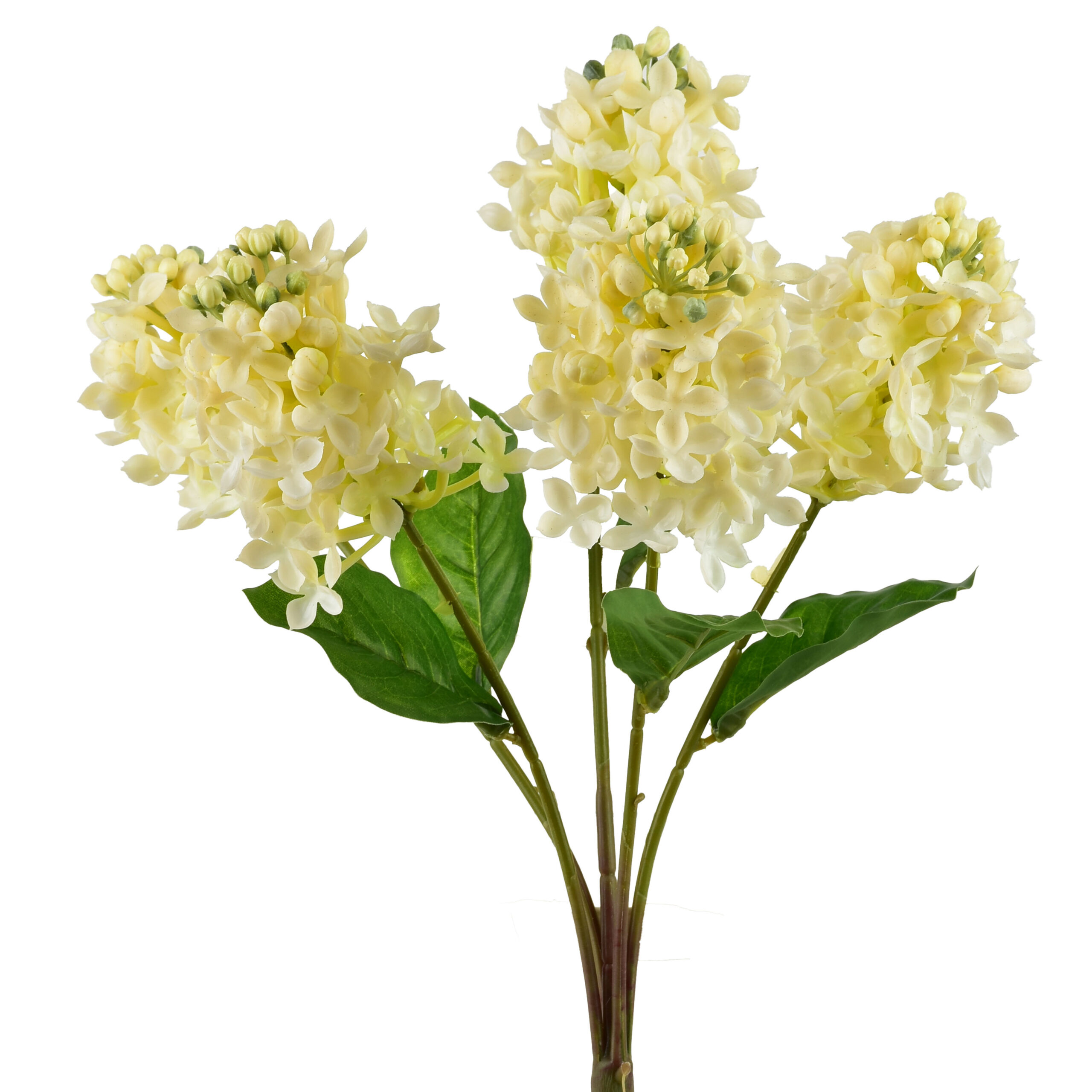 VIRIDIS Bukiet Bzu 40cm gumowany