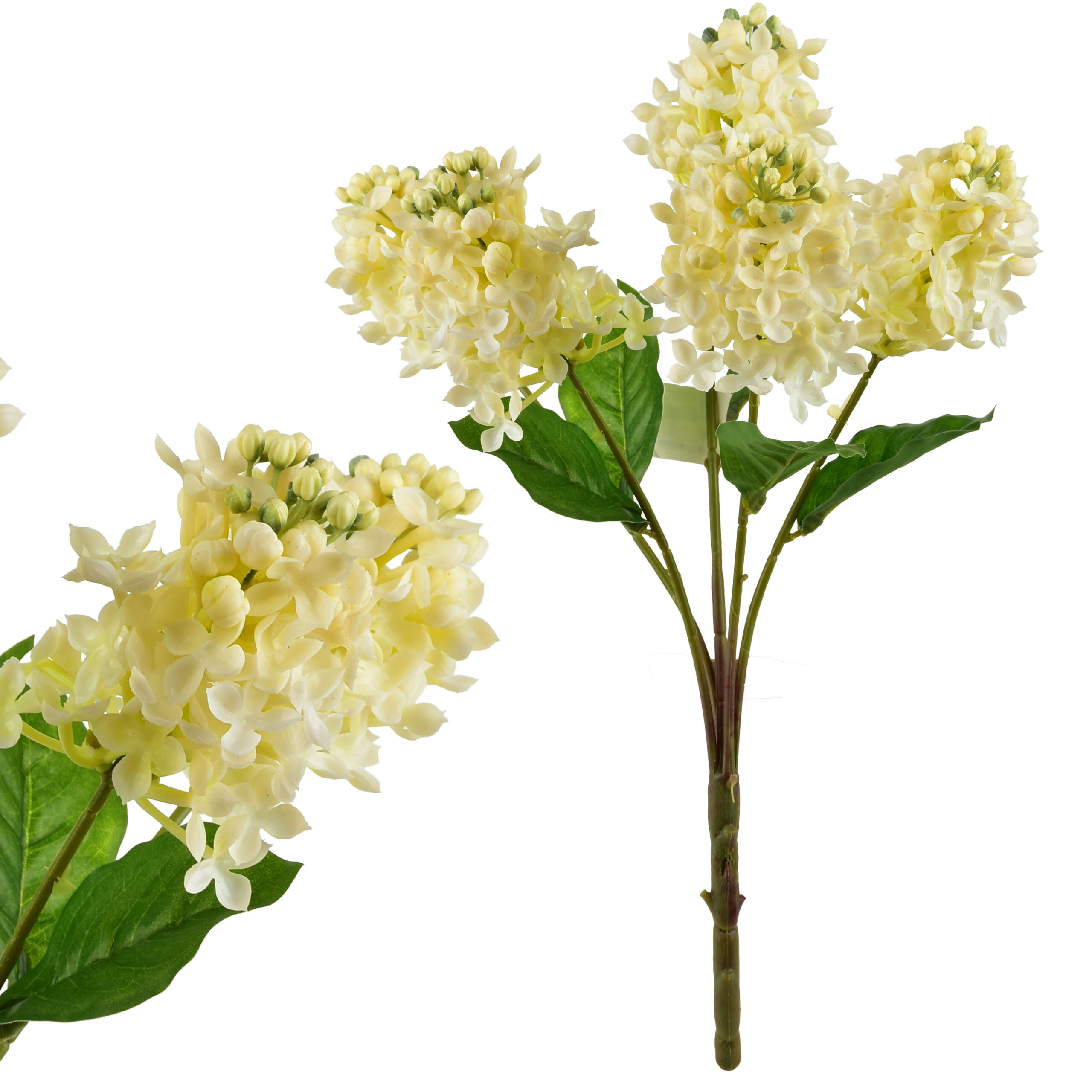 VIRIDIS Bukiet Bzu 40cm gumowany