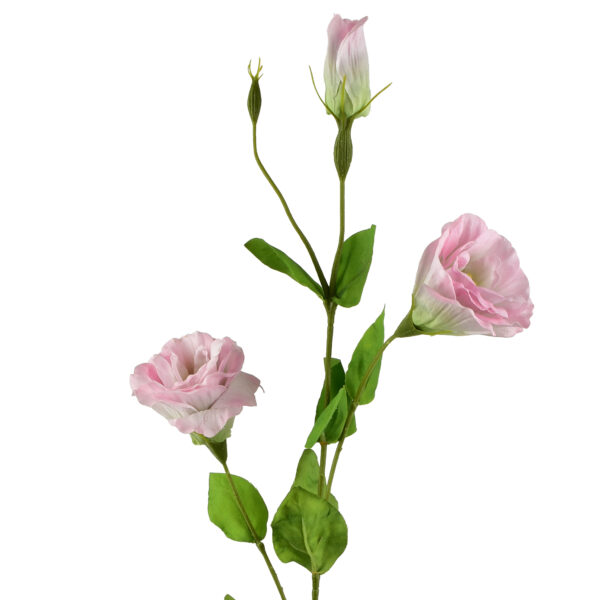 VIRIDIS Kwiat sztuczny Eustoma 70cm gumowany