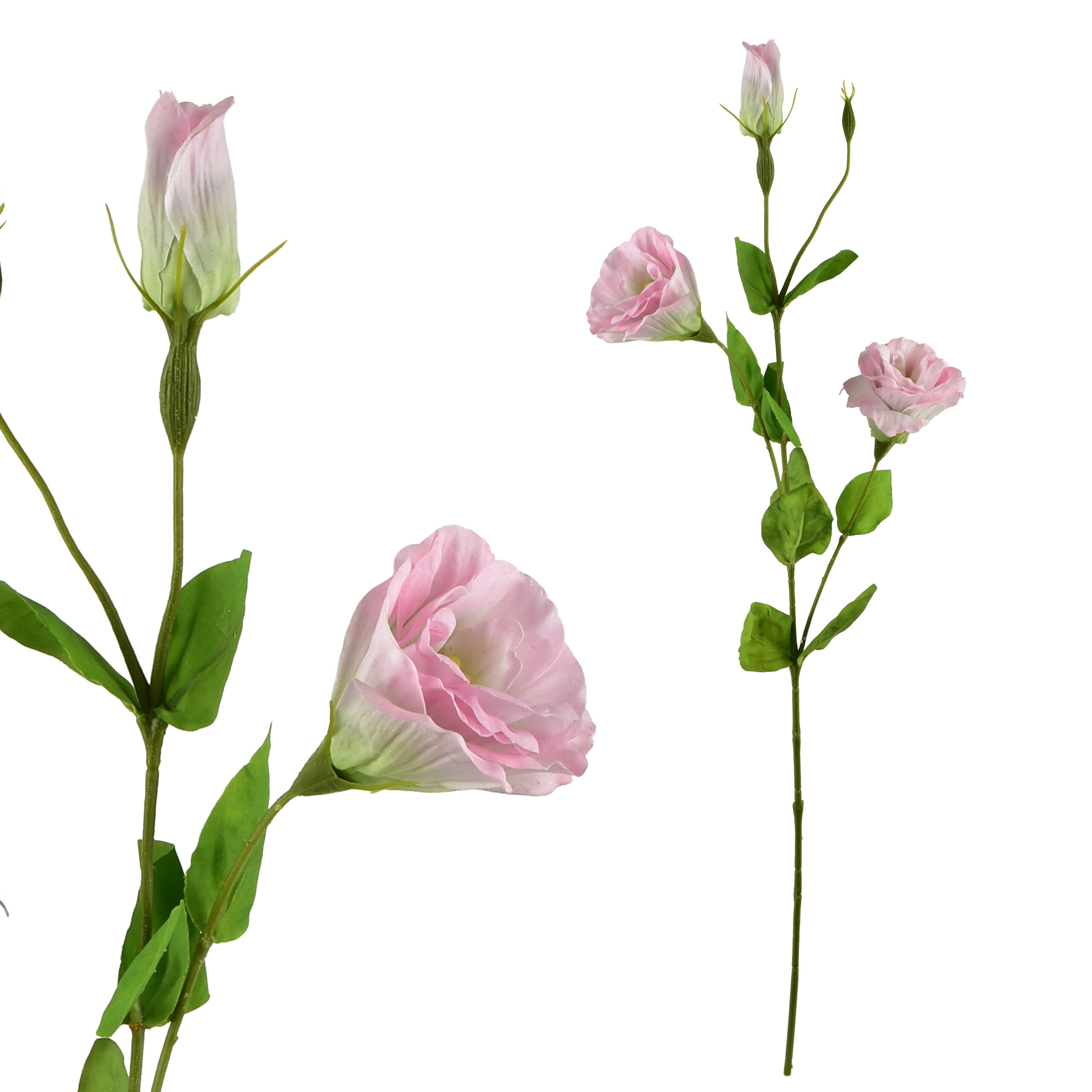 VIRIDIS Kwiat sztuczny Eustoma 70cm gumowany