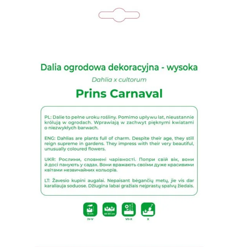 Dalia Prins Carnaval czerwono-różowa 1szt.