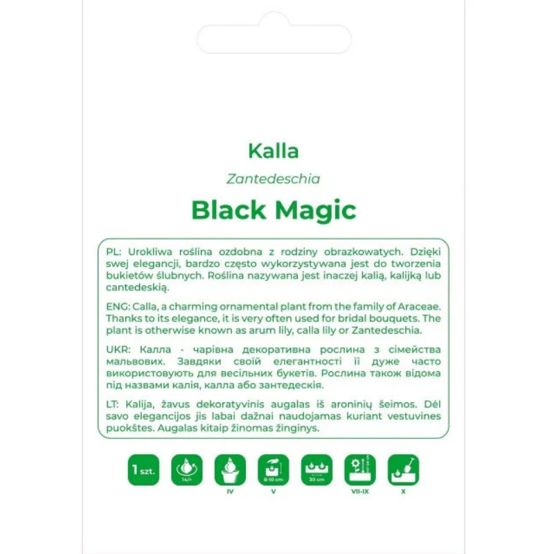 Bulwa kalli Black Magic, żółta, 1 szt.
