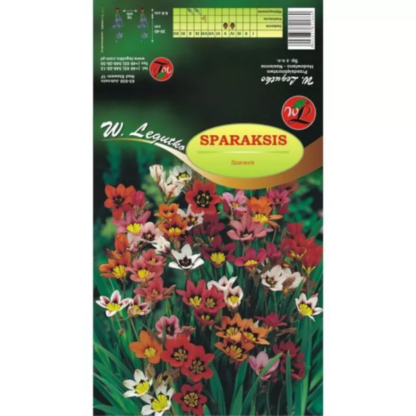 Sparaksis mieszanka 10szt.