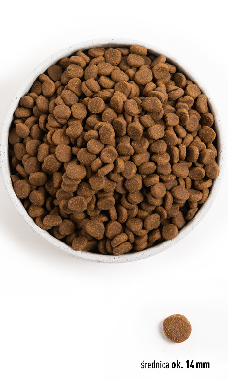 Orijen Original Dog 2kg