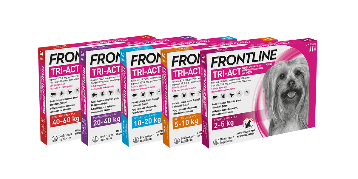 FRONTLINE Tri-Act Dla Psów 3x1ml