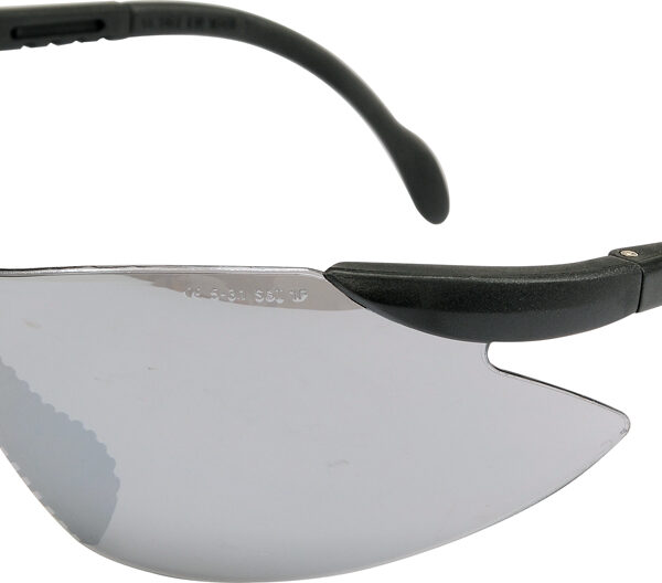 Okulary ochronne szare TYP 91380