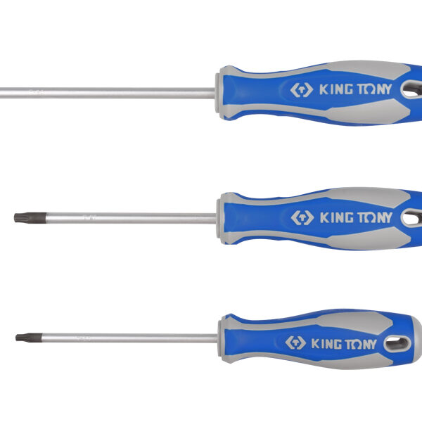 Wkrętak torx z otworem T20 5.0*100