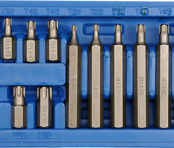 Zestaw bitów torx T20-T55 15 sztuk