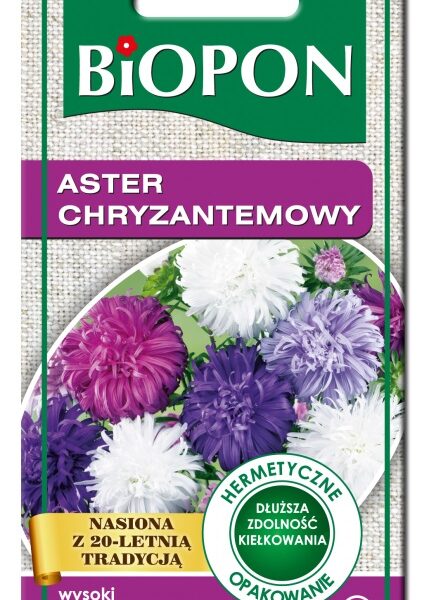 Aster wysoki chryzantemowy - mieszanka 1g