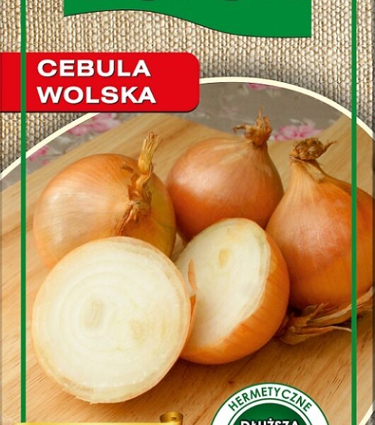 Cebula wolska 3g