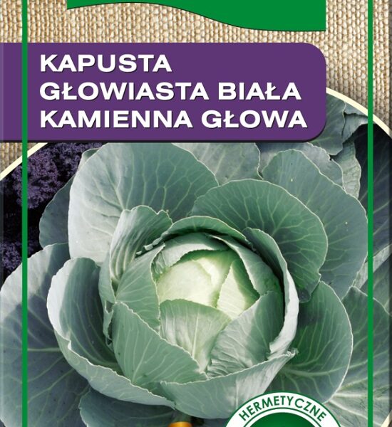Kapusta głowiasta biała kamienna głowa 2g