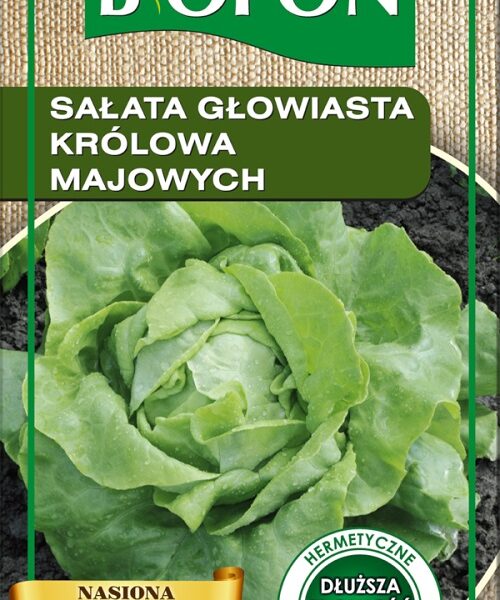 Sałata głowiasta królowa majowych 1g