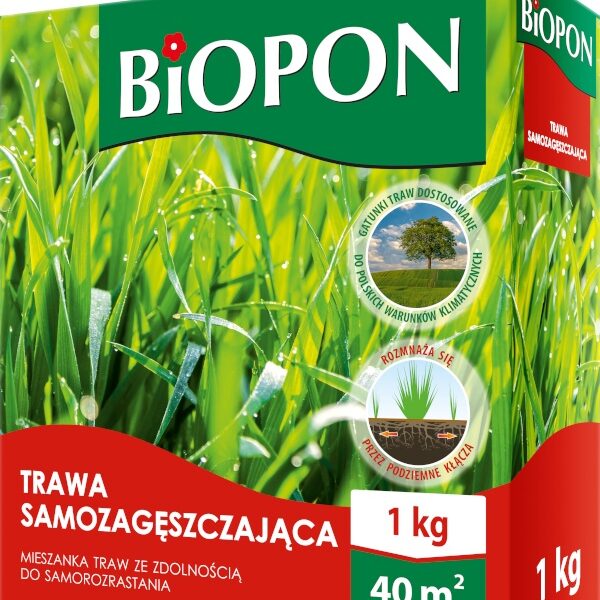 Trawa samozagęszczająca 1 kg