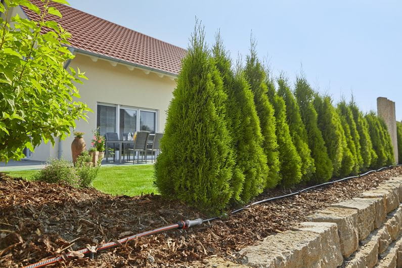 Linia kroplująca do rzędów roślin – zestaw M MDS
