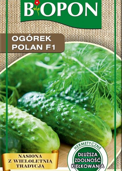 Ogórek polan F1 3g