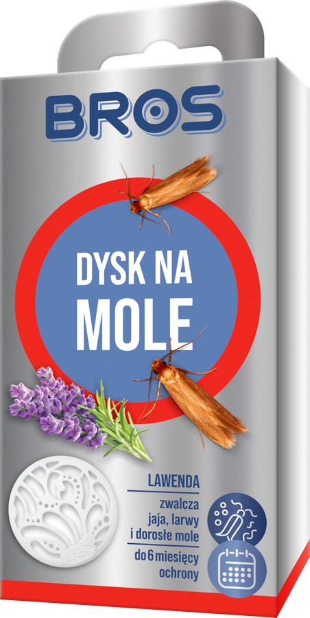 Dysk na mole lawenda