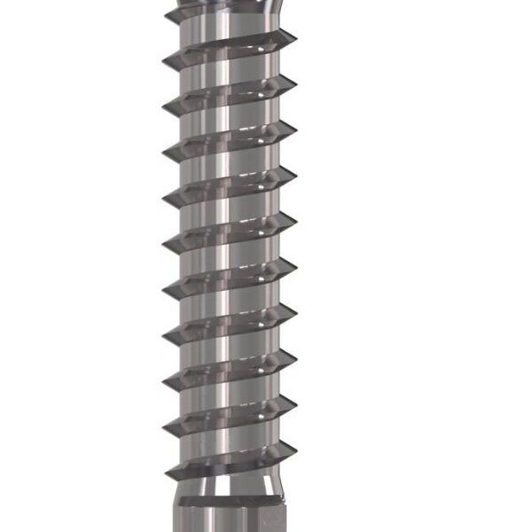 Wkręt ŁEB walcowy rp-k-lk 4.8*25mm A2