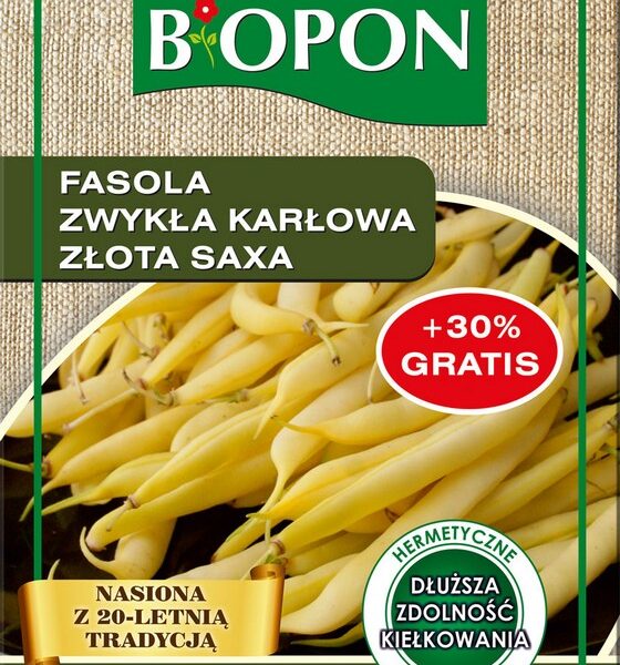 Fasola zwykła karłowa. złota saxa 0.22g