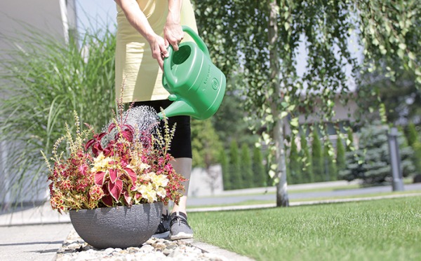 Konewka plastikowa 10L spring - zielony