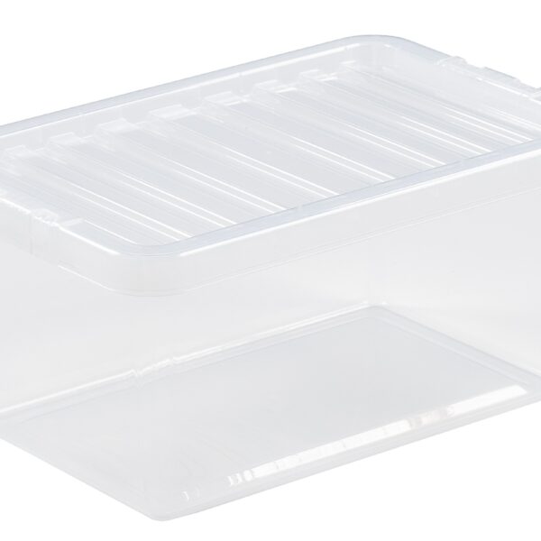 Pojemnik do przechowywania Wham crystal 11L