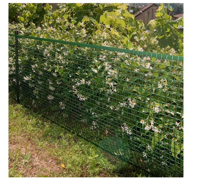 Siatka PVC quadra 20 zielona 1.0M*10mb oczko 20mm