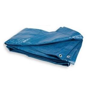 Plandeka 50g/M2 2*3M